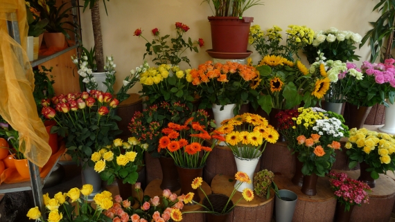 گلکده نیاوران خیابان نیاوران