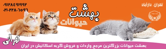 بهشت حیوانات مرجع خرید و آموزش حیوانات دارآباد