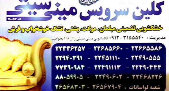 قالیشویی مینی سیتی محله محلاتی